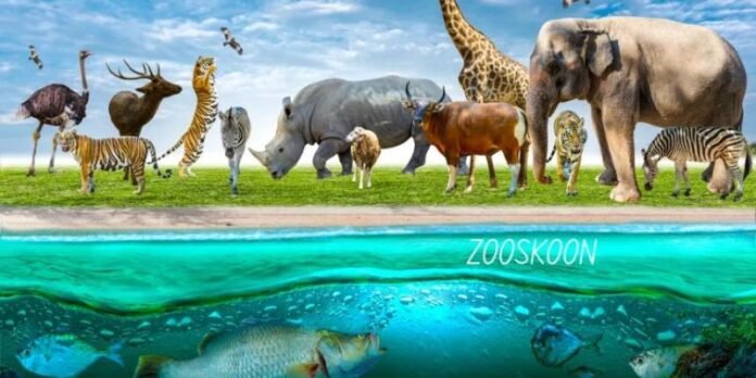 Zooskooñ